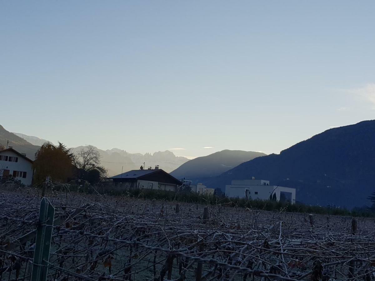 Domus Rose Rooms Bolzano Luaran gambar